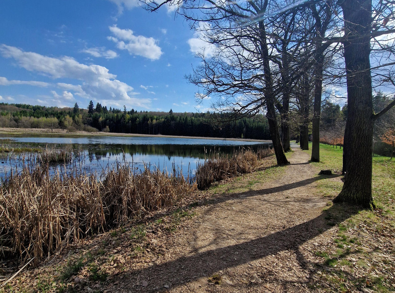 Path by a pond on the Lost Ride 2026 route