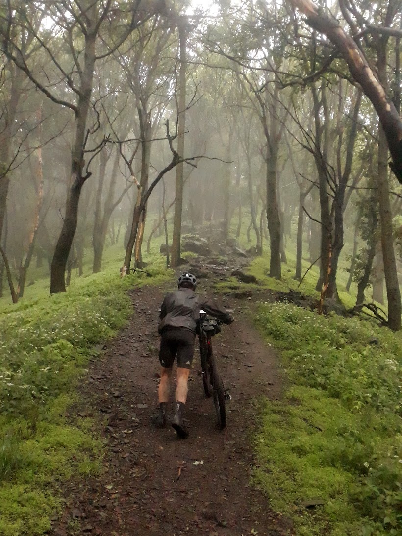 Lost Ride 2020 album cover