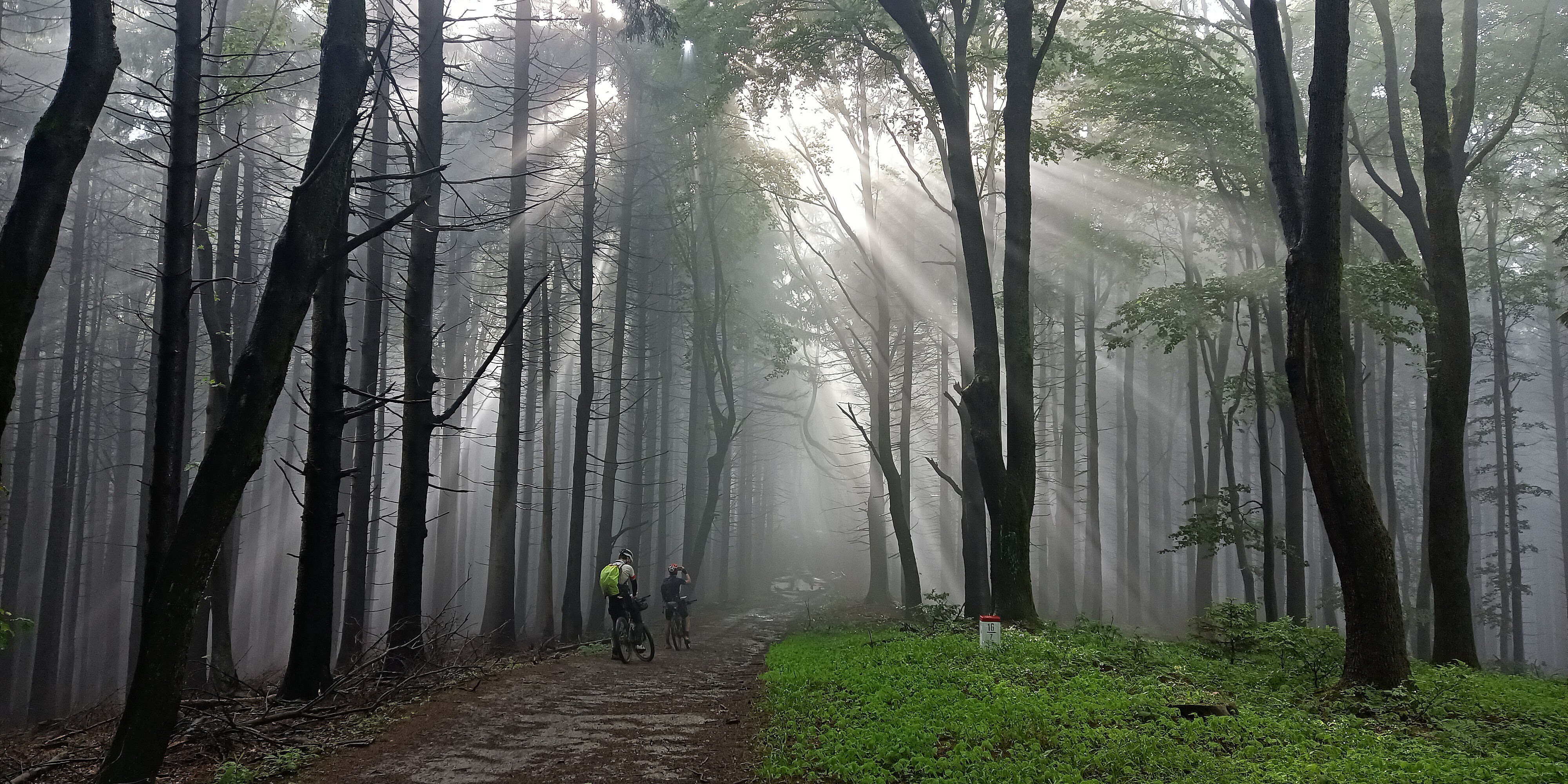 Sixpack status dashboard